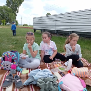 Piknik i zabawy na świeżym powietrzu. 