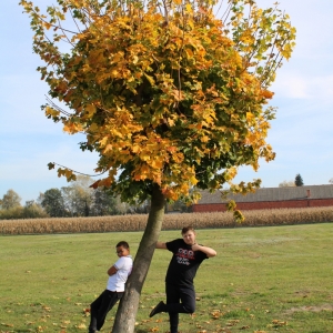 chłopcy opierający się o drzewo